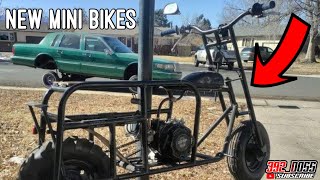 I Got 2 Mini Bikes for a STEAL | MINI BIKE VLOG