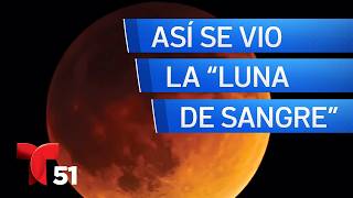 Eclipse lunar total: así se vio la “Luna de Sangre” en el sur de Florida