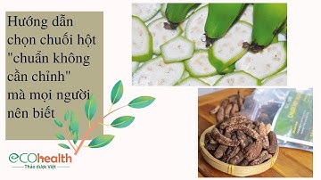 Hướng dẫn chọn chuối hột chuẩn không cần chỉnh mà mỗi người đều cần biết