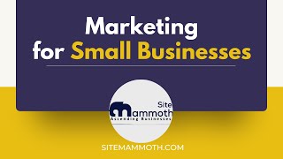 Marketing For Small Businesses Explainer Digital Agency Syracuse Site Mammoth
