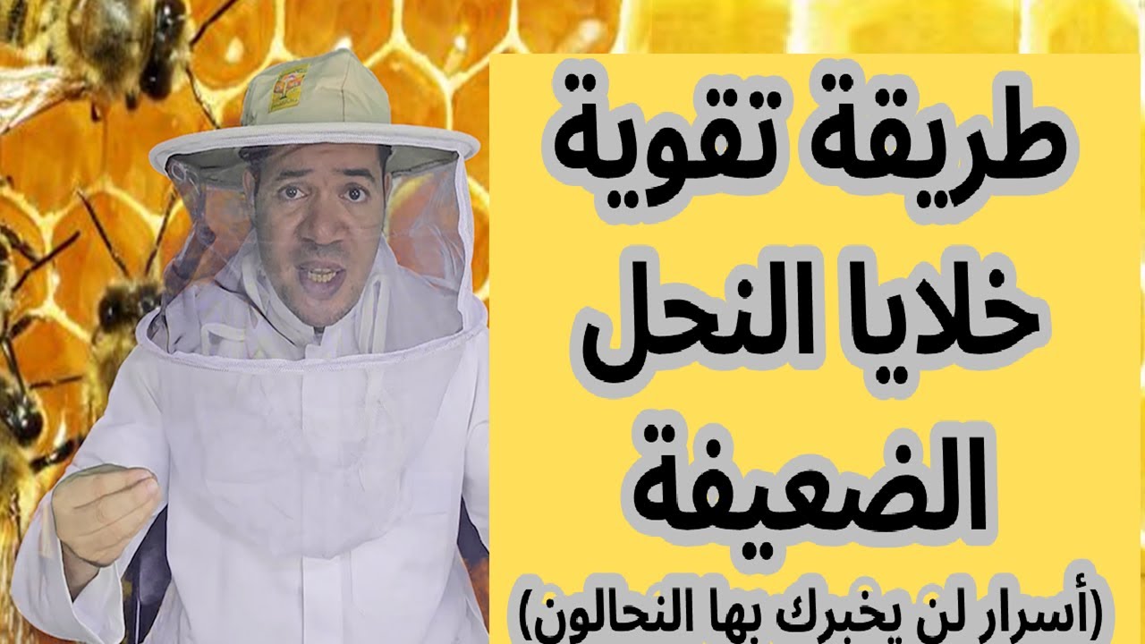كيف تقوي خلايا النحل الضعيفة بشكل فوري؟