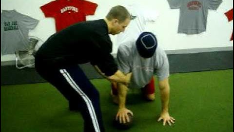 Quadruped Rhythmic Stabiliizations