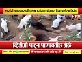 प्राण्यांमध्येही माणसांप्रमाणेच भावना । VIDEO पाहून पाणावतील डोळे । Animal_Lovers  ।HPN MARATHI NEWS