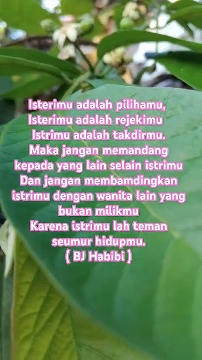 Muratal Surat An-Nisa : 34 #storywa #quotes #shortvideo #katakatabijak #fypシ゚viral