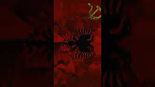 Автор Топ @Communist_News1917 #History #Albania #Communism #Antirevisionism #Stalinism