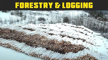 Saw Mill & Log Yard View - Real Life Forestry & Logging - FDR Logging