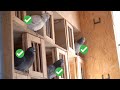 Yearling Pigeons Nestbox Competition - Full Guide