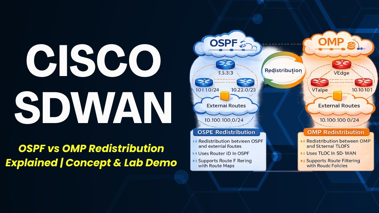 OSPF vs OMP Redistribution Explained | Concept & Lab Demo