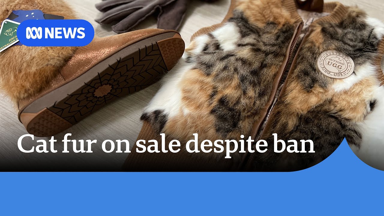 Cat fur on sale in Victoria despite import ban | ABC News