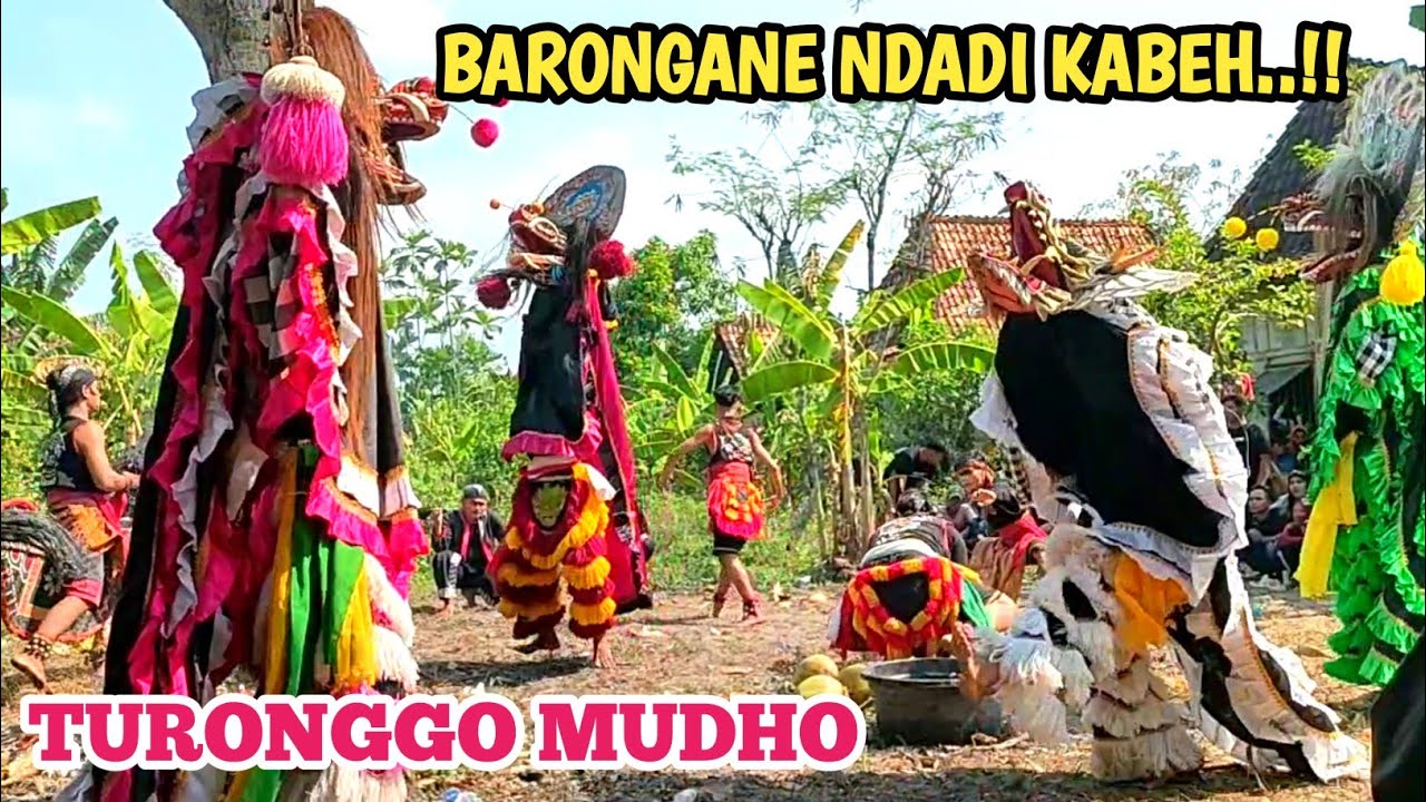 Barongan Ndadi‼️TURONGGO MUDHO Live Rimbu Kidul Rejosari Karangawen Demak