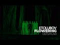 ETOLUBOV Flowering 001SHOW ETOLUBOV Flowering 001SHOW