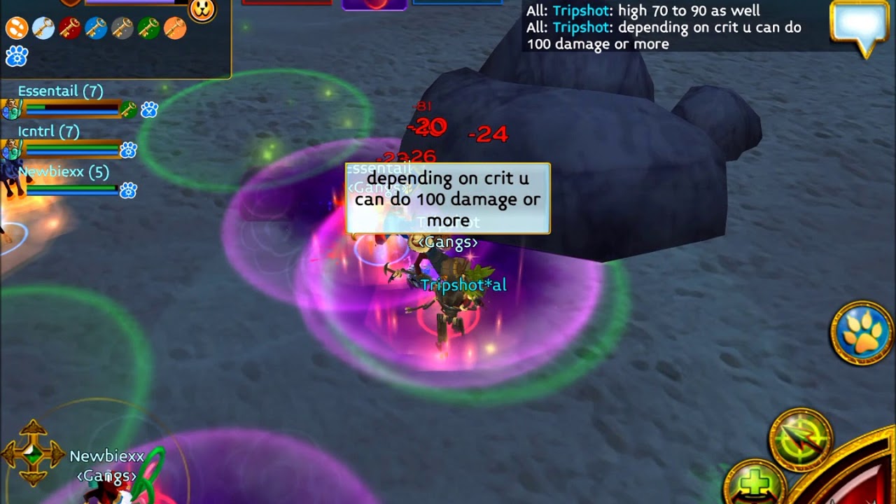 Dreambot pet in lvl 6 pvp Arcane Legends