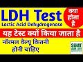 LDH Blood Test Kya Hai, Meaning, Normal Range, Full Form ...