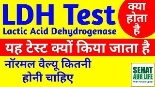 LDH Blood Test Kya Hai, Meaning, Normal Range, Full Form, In Hindi, Lactic Dehydrogenase Test