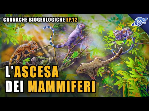 L&rsquo;Ascesa dei Mammiferi | Paleocene (Paleogene) | Cronache Biogeologiche Ep. 12