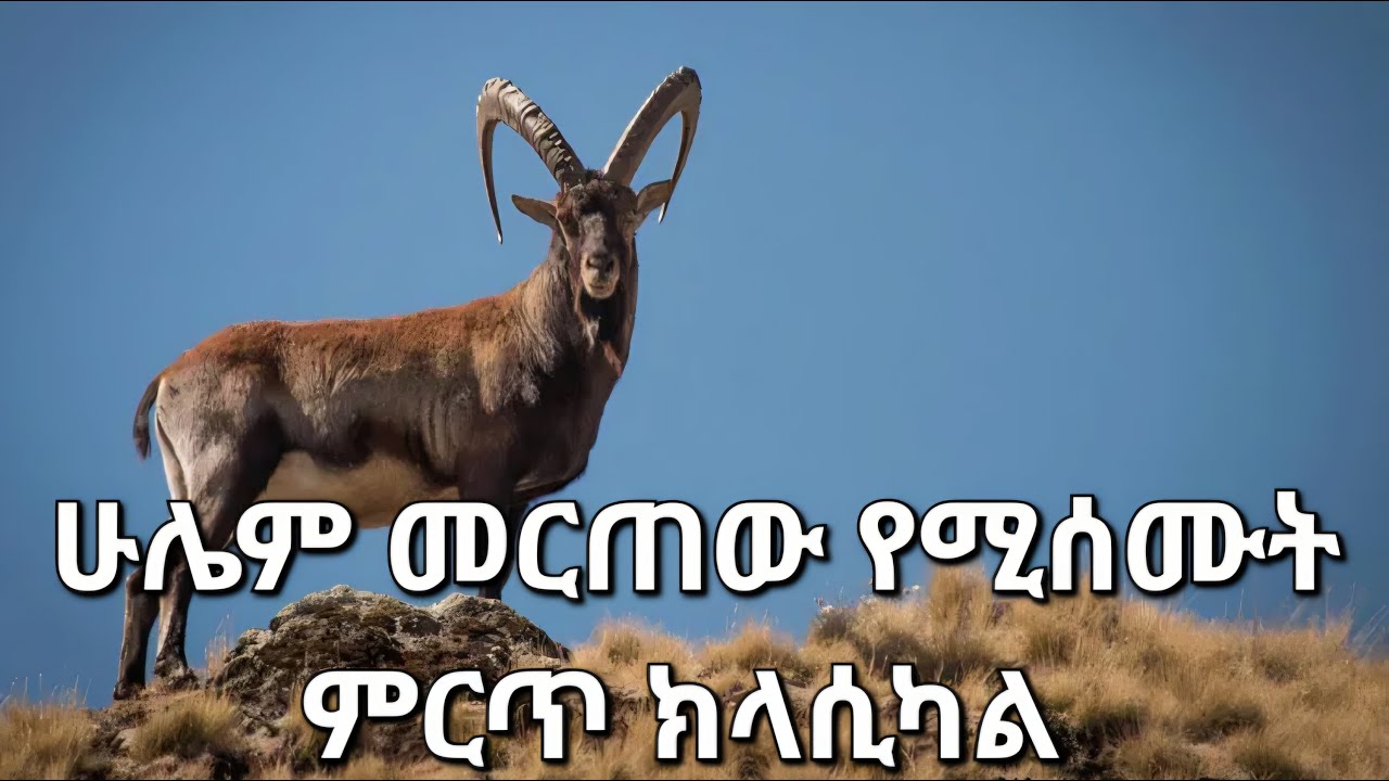 Best Ethiopia Classical Music Collection ምርጥ የክላሲካል ስብስብ