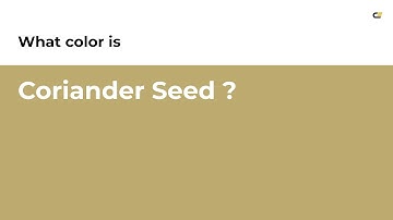 Coriander Seed color #bdaa6f hex color - Yellow color - Cool color bdaa6f