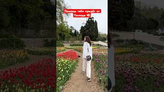 Воззови к Господу и Он ответит тебе 🙏🏼❤️🕊️ #молитва #ответ #Бог #Иисус #новости #тренды #лайк