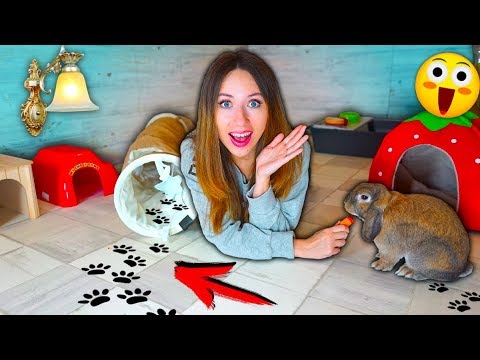 НОВАЯ КОМНАТА ДЛЯ КРОЛИКА ПОКУПКИ ИЗ ЗООМАГАЗИНА РУМ ТУР | Elli Di Pets