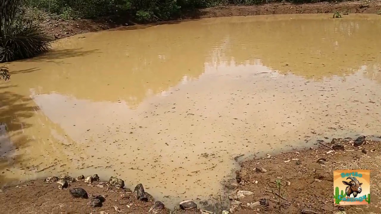 Chuva No Sertão de Canudos Bahia.indo olhar as barragens#jesuscristo #chuvanosertão #vidanaroça 