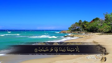 جديد. سورة .يس. القارئ هلويست نصرالدين