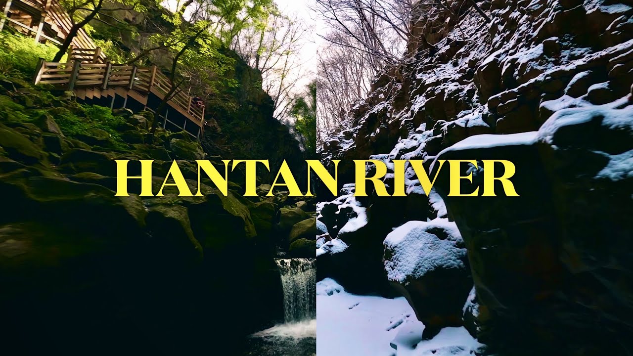 한 장소를 반년 동안 촬영하면 볼 수 있는 것 [롱테이크 FPV 드론]