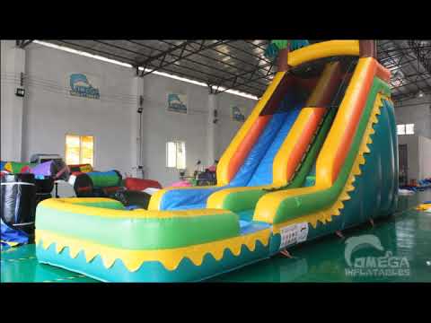 camera iphone 8 plus apk 18FT Tropical Wet Dry Slide