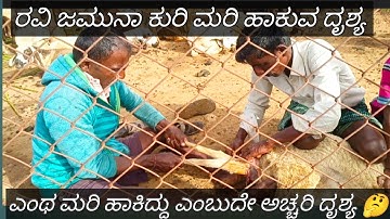 ಕುರಿ ಮರಿ ಹಾಕುವ ದೃಶ್ಯ.. 🤔 ಎಂಥ ಮರಿ ಹಾಕಿದ್ದು ಎಂಬುದೇ ಆ ದೃಶ್ಯ #ravijamuna #tumkur #sira