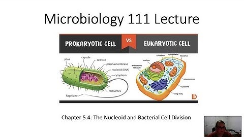 Micro 111 Chapter 5.4 Lecture Video