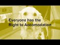 Everyone has the right to accommodation