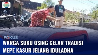 Unik!! Sambut Iduladha, Warga Suku Osing Gelar Tradisi Mepe Kasur | Fokus