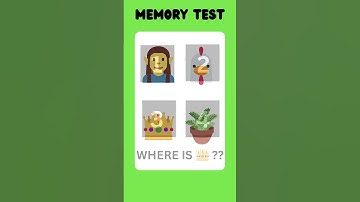 "Mind-Bending Memory Test: Can You Ace the Image Recall Challenge?" #MemoryChallenge #BrainTeaser