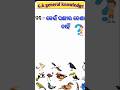 କେଉଁ ପକ୍ଷୀ ଡେଣା ନାହିଁ ? / Quiz video / IAS Questions Odia /GS Questions