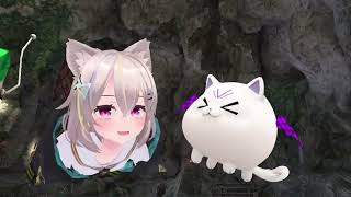 why companion follow to neko - vrchat