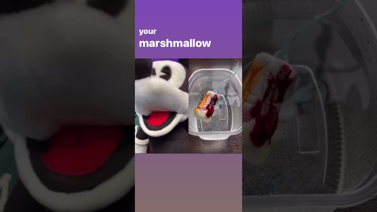 What a weird Marshmallow 