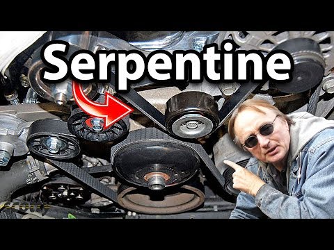 Videó: A szerpentinit foltos?