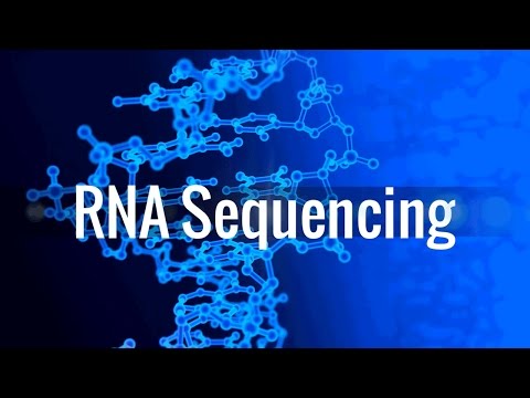 Video: Cloud-skala RNA-sekvensering Differensial Ekspresjonsanalyse Med Myrna