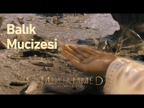 Denizden balık mucizesi!  | Hz. Muhammed: Allah'ın Elçisi