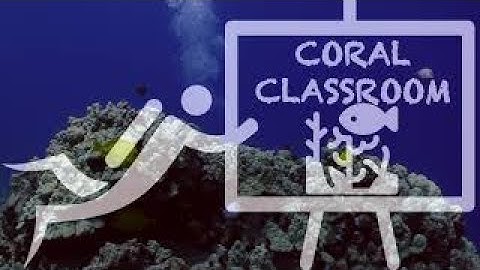 Welcome to the Coral Classroom Series with Greg Asner