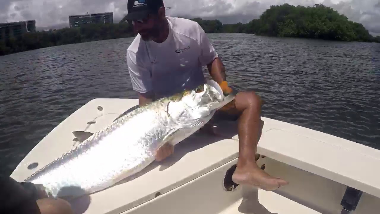 Fishing Charter Puerto Rico