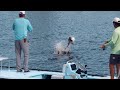 Flats Class - Juvenile Tarpon and Redfish in Late Summer