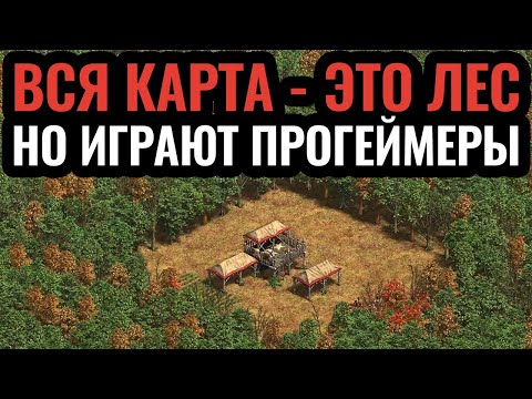 ПРОФЕССИОНАЛЬНОЕ БЕЗУМИЕ: лучшие игроки России на идиотской карте Forest Nothing. Age of Empires 2