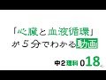 中2理科　心臓と血液循環