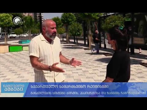 საქართველოს განათლების სისტემის უარყოფითი შეფასება