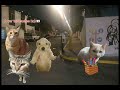 Último video del año🤑