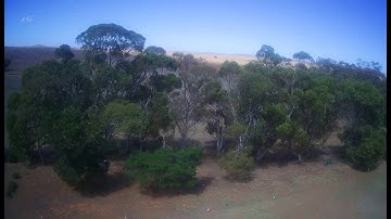 Hubsan 501ss - return to home failure