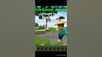 I met a hacker in Eggwars Blockman Go #bmgo #eggwars