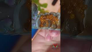 Berried Crayfish Transfer 🤰🦞 Into Larger Solo Container