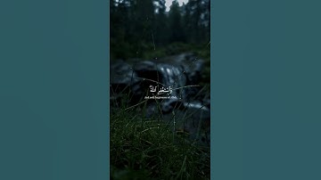 سورة النساء/ القارئ عبدالرحمن مسعد /