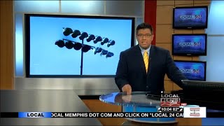 DAVE DETLING INVESTIGATIVE REPORTER REEL